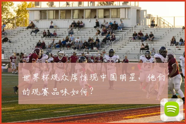 世界杯观众席惊现中国明星，他们的观赛品味如何？