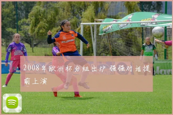 2008年欧洲杯分组出炉 强强对话提前上演
