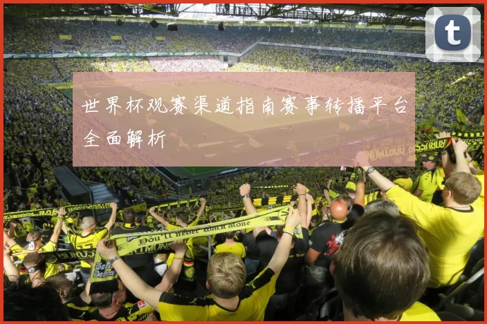 世界杯观赛渠道指南赛事转播平台全面解析